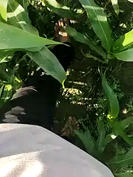 Snapshot of ThethunderPo chatting on March 19, 2025, 2:48 am ThethunderPo online show from March 19, 2025, 2:48 am