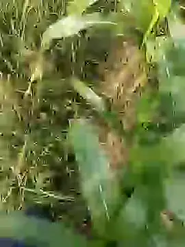 ThethunderPo online show from March 29, 2026, 2:55 am