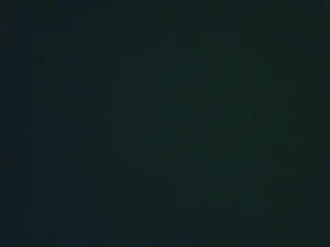 lonelycock33 online show from November 4, 2025, 8:19 pm