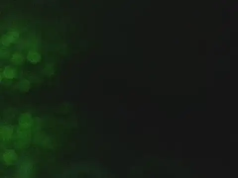 lonelycock33 online show from November 7, 2025, 9:48 pm