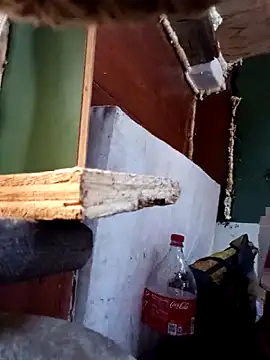 Snapshot of Serapitocojelon chatting on October 28, 2025, 9:17 pm Serapitocojelon online show from October 28, 2025, 9:17 pm