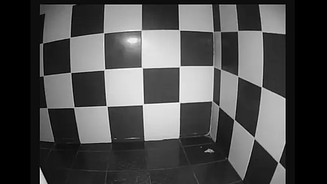 Snapshot of lysergic47 chatting on January 28, 2025, 11:07 pm lysergic47 online show from January 28, 2025, 11:07 pm