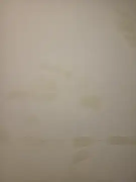 Snapshot of Adivaaa chatting on February 12, 2026, 10:54 am Adivaaa online show from February 12, 2026, 10:54 am