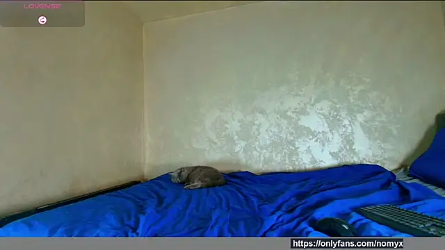 angeliquevany online show from December 2, 2025, 6:58 pm