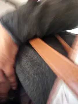 Snapshot of emma_tour chatting on December 6, 2024, 4:17 pm emma tour online show from December 6, 2024, 4:17 pm