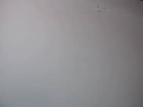 Snapshot of Mia_davis01 chatting on January 12, 2025, 8:14 pm Mia davis01 online show from January 12, 2025, 8:14 pm