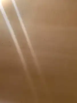 Tristris100 online show from March 9, 2025, 10:08 pm