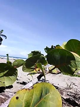 Luna-Natural online show from December 14, 2025, 4:23 pm