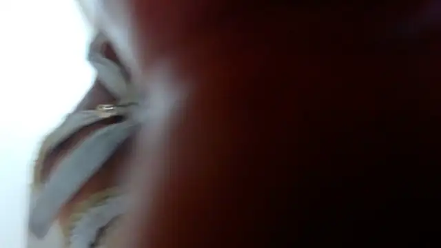 Ixchel Anaid online show from March 14, 2025, 12:10 am