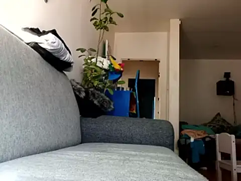 Snapshot of ganjaman871231 chatting on February 28, 2026, 10:05 am ganjaman871231 online show from February 28, 2026, 10:05 am