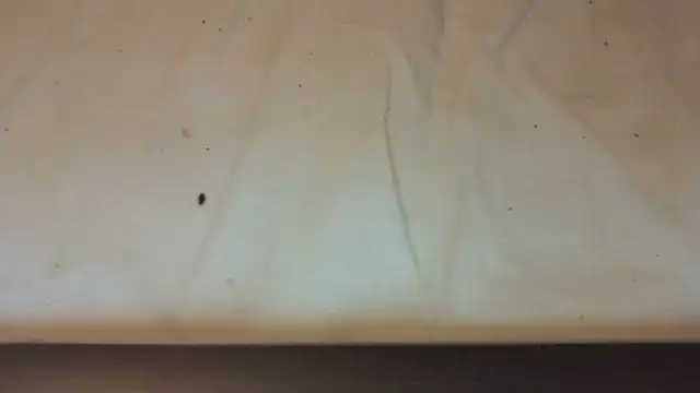 Helly97 online show from October 23, 2025, 8:07 pm