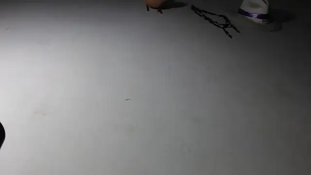 Snapshot of adrixxx38 chatting on January 17, 2026, 11:19 pm adrixxx38 online show from January 17, 2026, 11:19 pm