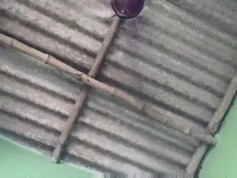 sujanmanda online show from September 23, 2025, 6:49 am