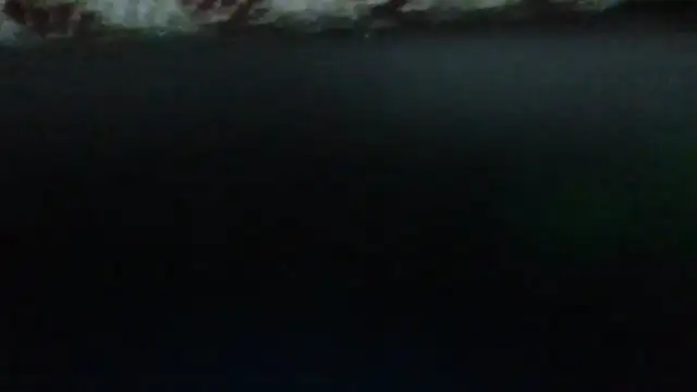 Snapshot of Leo_Big chatting on September 23, 2025, 11:19 pm Leo Big online show from September 23, 2025, 11:19 pm