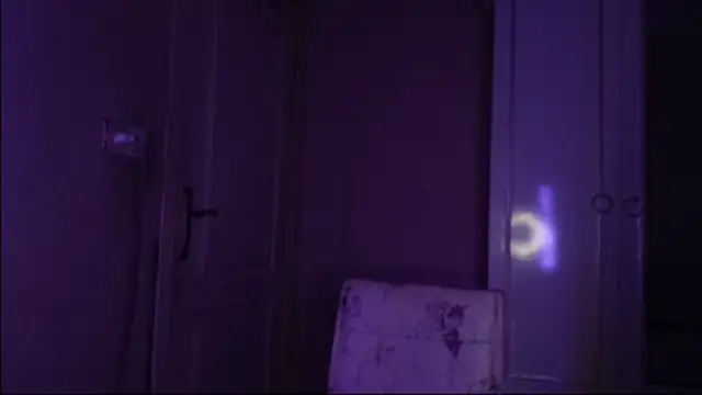 Snapshot of Bullish chatting on January 22, 2025, 11:45 am Bullish online show from January 22, 2025, 11:45 am