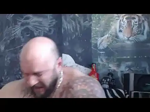 viking 30 online show from April 14, 2026, 6:08 am