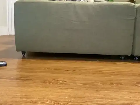 Relknhoxh online show from October 28, 2025, 9:57 am