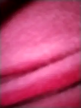 EvaCristal online show from November 28, 2025, 9:12 am