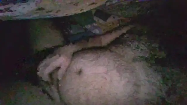 Snapshot of gerilom8787 chatting on February 4, 2026, 2:45 pm gerilom8787 online show from February 4, 2026, 2:45 pm