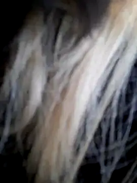 Snapshot of Dirtyfeelin chatting on December 14, 2025, 11:59 am Dirtyfeelin online show from December 14, 2025, 11:59 am