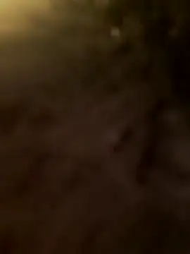 Snapshot of Dirtyfeelin chatting on February 26, 2026, 6:07 pm Dirtyfeelin online show from February 26, 2026, 6:07 pm