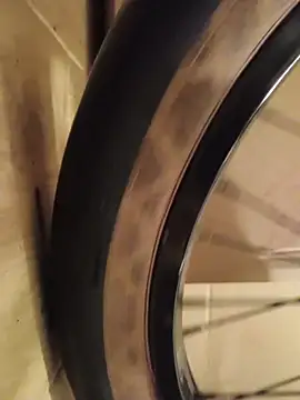 FireFox Feel online show from December 9, 2024, 3:29 am