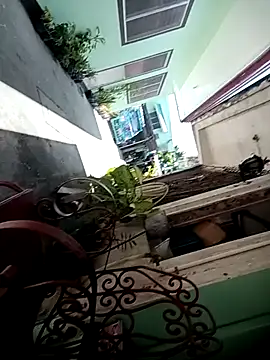 TropicalFlower online show from October 16, 2025, 1:06 am