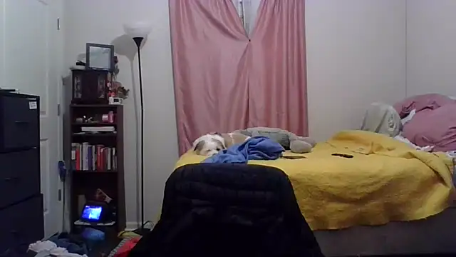 Snapshot of tmmcmannus chatting on February 9, 2026, 2:59 am tmmcmannus online show from February 9, 2026, 2:59 am