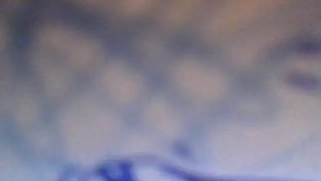 AnnyPat online show from November 16, 2025, 12:55 pm