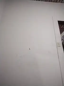 Snapshot of catdool chatting on February 6, 2026, 10:35 pm catdool online show from February 6, 2026, 10:35 pm