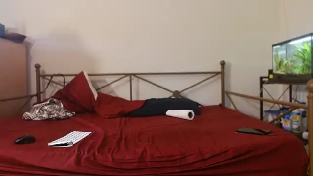 Snapshot of Dragonnyc@xh chatting on February 21, 2026, 8:54 pm Dragonnycxh online show from February 21, 2026, 8:54 pm