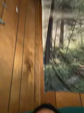 Snapshot of ScottyOne17 chatting on March 17, 2026, 3:11 am ScottyOne17 online show from March 17, 2026, 3:11 am