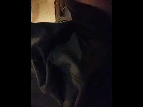 Snapshot of leonar0101 chatting on February 21, 2026, 7:31 am leonar0101 online show from February 21, 2026, 7:31 am