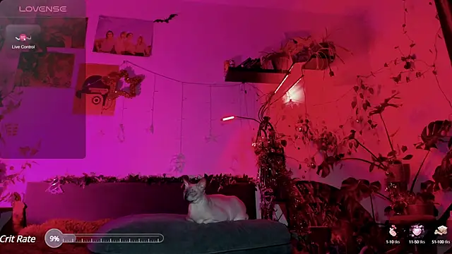 olivecum online show from January 20, 2025, 4:01 pm