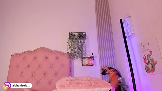 sweet nicole 11 online show from December 1, 2025, 3:06 pm