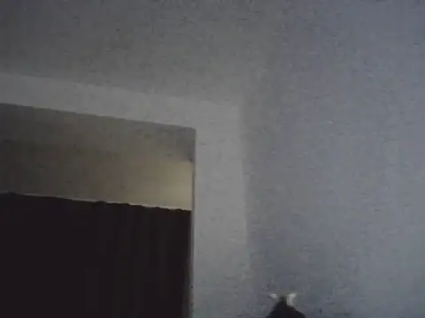 Snapshot of FallenDevil chatting on March 13, 2026, 7:09 pm FallenDevil online show from March 13, 2026, 7:09 pm