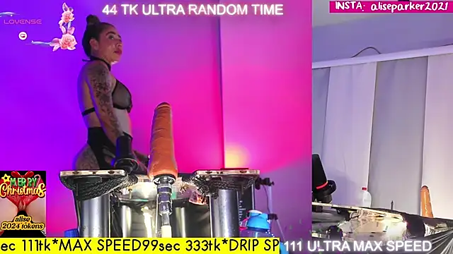 Snapshot of alise_MULTIVIEW_parker chatting on December 28, 2024, 11:37 pm alise MULTIVIEW parker online show from December 28, 2024, 11:37 pm