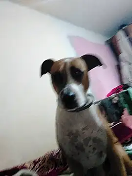 Snapshot of JoLeNe27 chatting on October 6, 2025, 4:54 am JoLeNe27 online show from October 6, 2025, 4:54 am