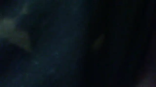 Billywax online show from February 2, 2026, 9:30 am