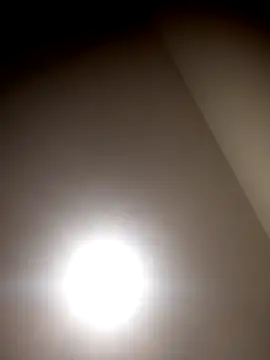 sua sub  online show from March 23, 2026, 8:29 am