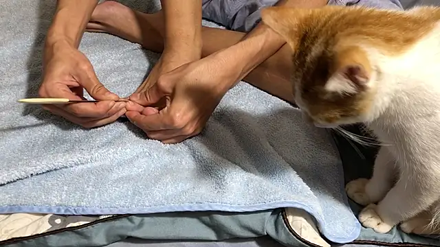 Snapshot of RiderFloor chatting on February 8, 2026, 8:12 pm RiderFloor online show from February 8, 2026, 8:12 pm