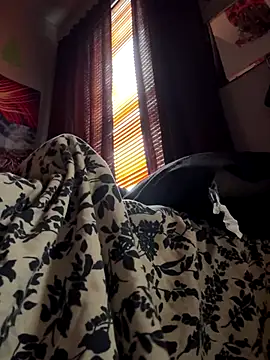 spideyzaddy online show from November 26, 2025, 4:41 pm