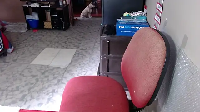 Barbiegomez online show from March 19, 2026, 4:11 pm