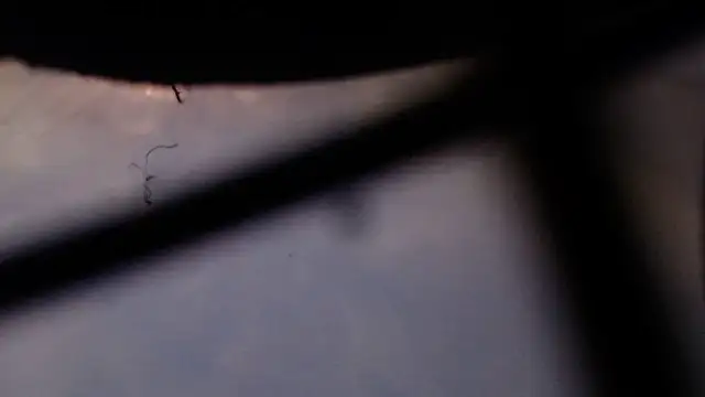 Snapshot of Cordt27 chatting on February 12, 2026, 4:02 pm Cordt27 online show from February 12, 2026, 4:02 pm