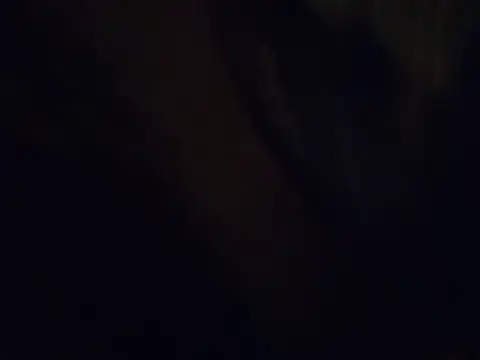 420pussylickr online show from July 30, 2026, 3:38 am