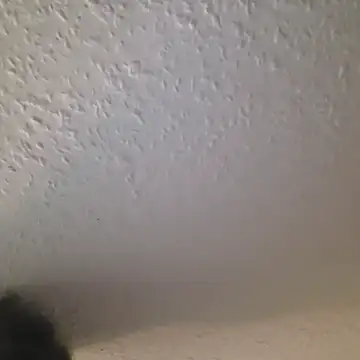 Zauberstab8 online show from October 19, 2025, 8:53 pm