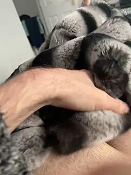 Snapshot of Furdale chatting on December 2, 2024, 12:40 pm Furdale online show from December 2, 2024, 12:40 pm