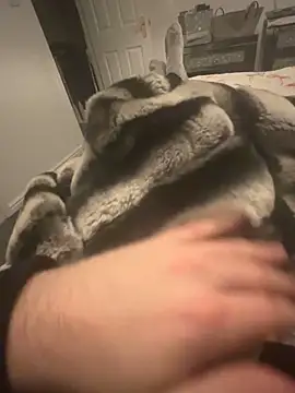 Snapshot of Furdale chatting on December 7, 2024, 9:33 pm Furdale online show from December 7, 2024, 9:33 pm