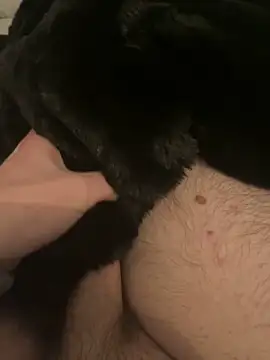 Snapshot of Furdale chatting on December 10, 2024, 5:44 pm Furdale online show from December 10, 2024, 5:44 pm