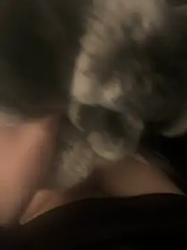 Snapshot of Furdale chatting on December 17, 2024, 4:00 pm Furdale online show from December 17, 2024, 4:00 pm